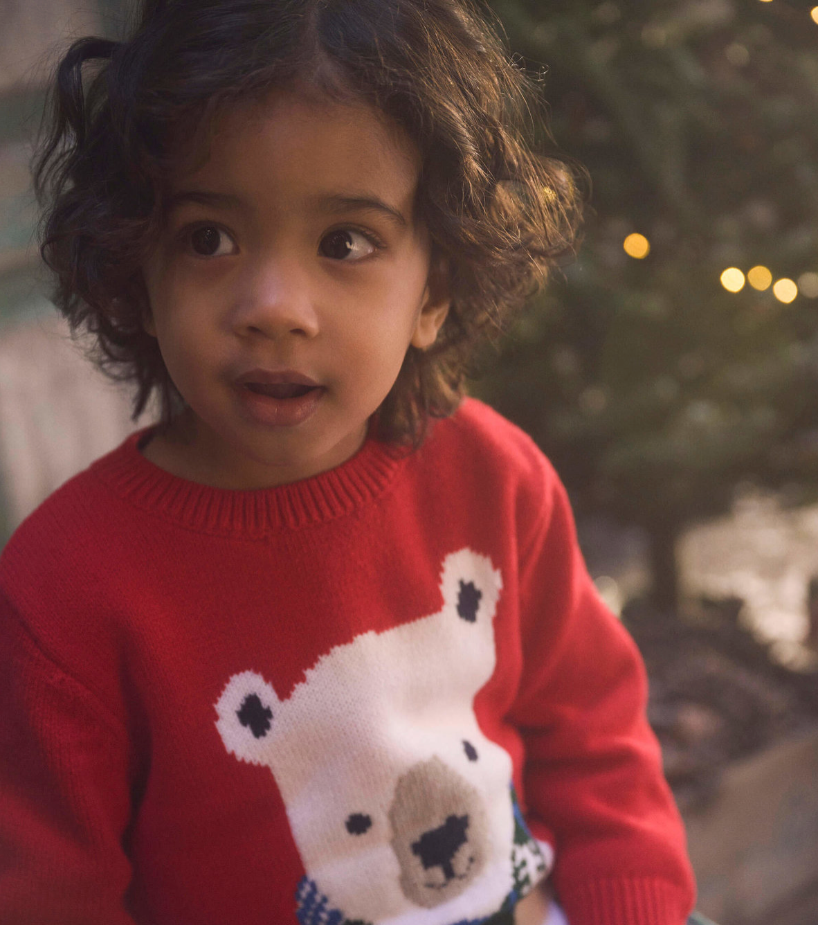 Holiday Bear Crew Neck Knit Sweater