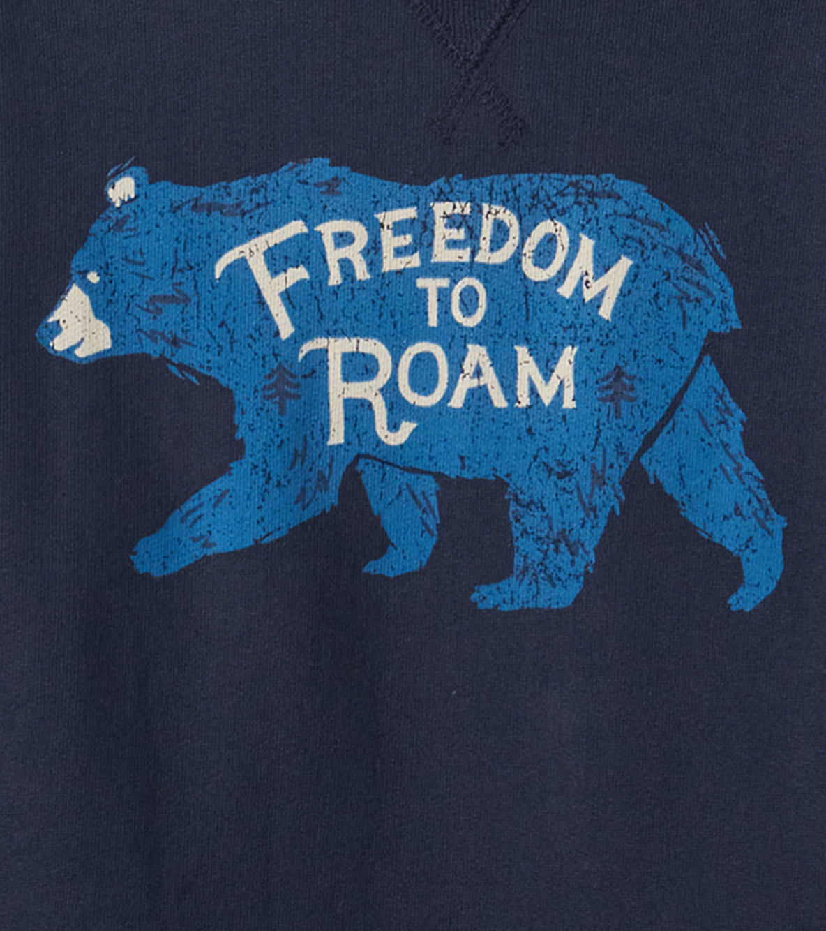 Freedom To Roam Pullover Sweater